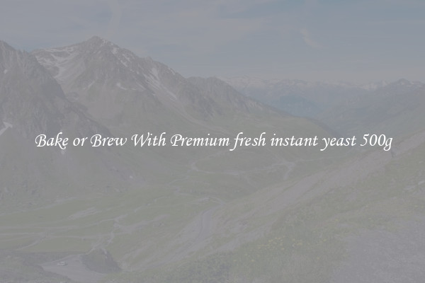 Bake or Brew With Premium fresh instant yeast 500g