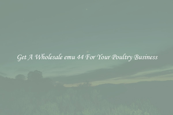 Get A Wholesale emu 44 For Your Poultry Business