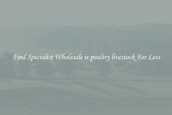  Find Specialist Wholesale is poultry livestock For Less 