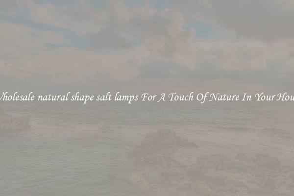 Wholesale natural shape salt lamps For A Touch Of Nature In Your House