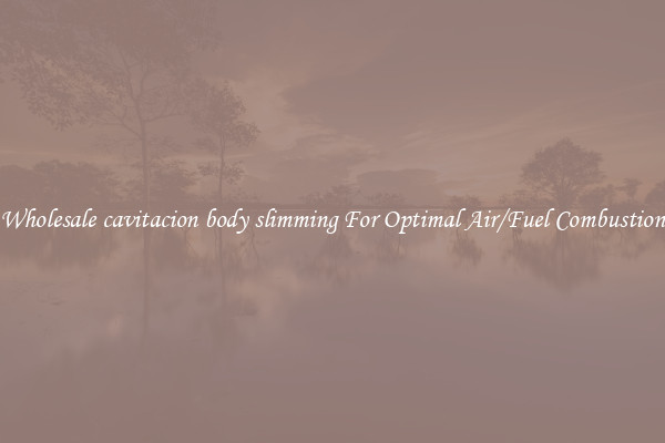 Wholesale cavitacion body slimming For Optimal Air/Fuel Combustion