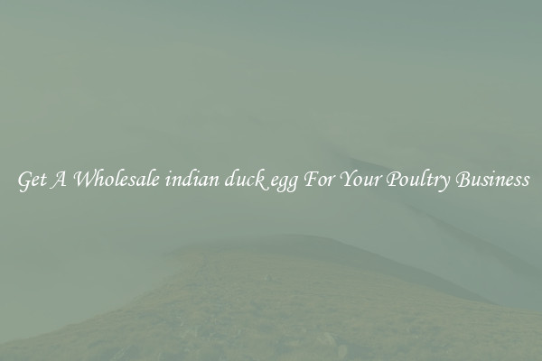 Get A Wholesale indian duck egg For Your Poultry Business