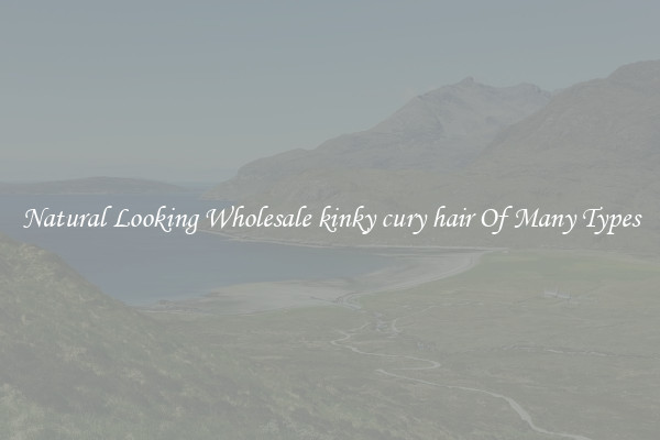 Natural Looking Wholesale kinky cury hair Of Many Types