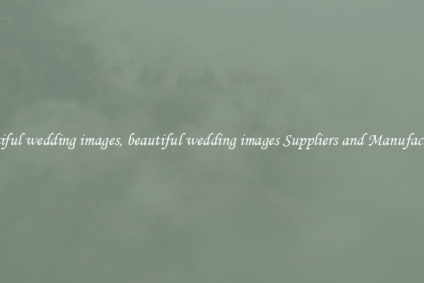 beautiful wedding images, beautiful wedding images Suppliers and Manufacturers