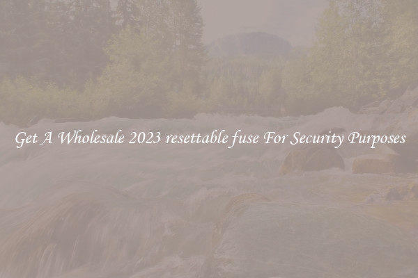 Get A Wholesale 2023 resettable fuse For Security Purposes