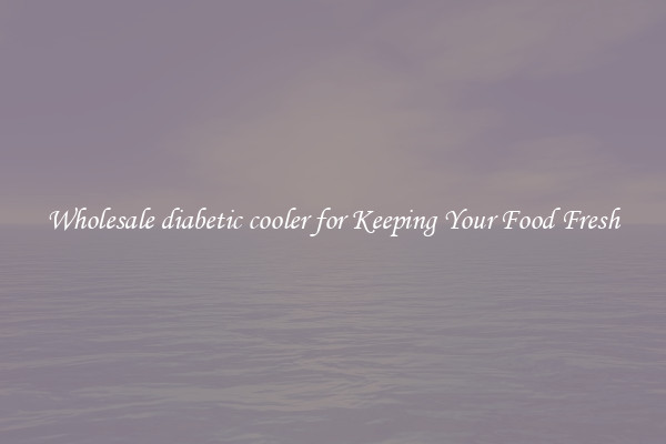 Wholesale diabetic cooler for Keeping Your Food Fresh