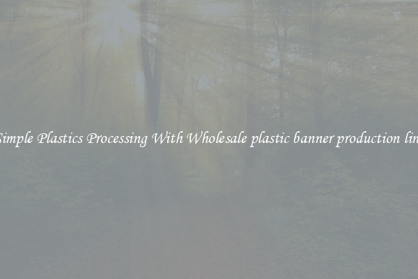 Simple Plastics Processing With Wholesale plastic banner production line