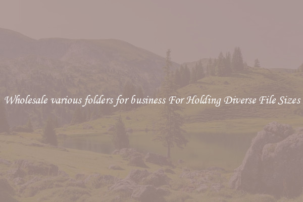 Wholesale various folders for business For Holding Diverse File Sizes