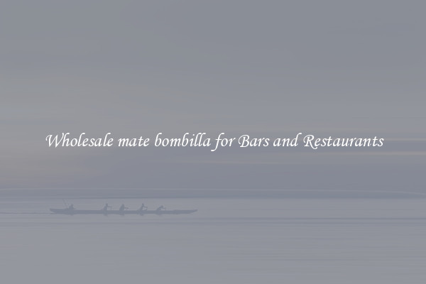 Wholesale mate bombilla for Bars and Restaurants