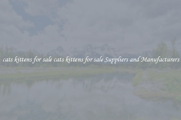 cats kittens for sale cats kittens for sale Suppliers and Manufacturers