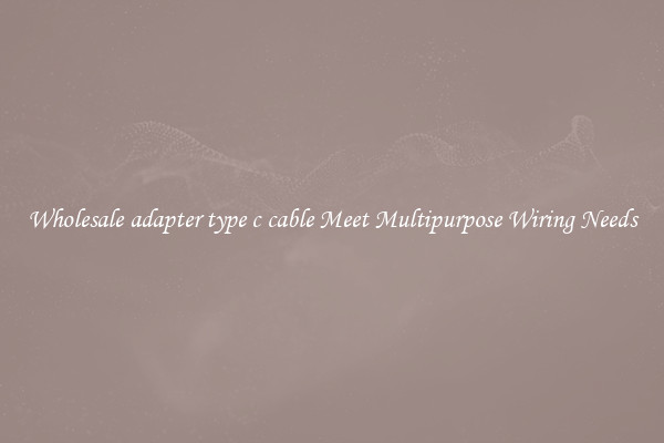 Wholesale adapter type c cable Meet Multipurpose Wiring Needs
