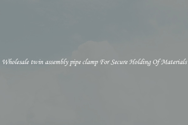 Wholesale twin assembly pipe clamp For Secure Holding Of Materials
