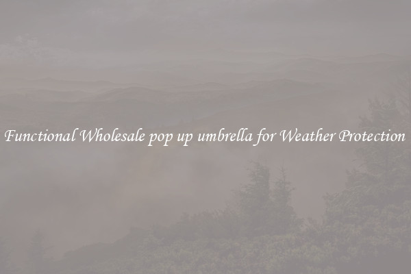 Functional Wholesale pop up umbrella for Weather Protection 