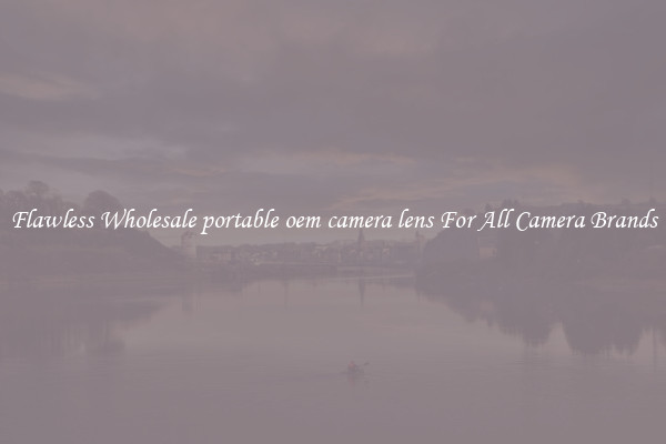 Flawless Wholesale portable oem camera lens For All Camera Brands