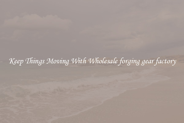 Keep Things Moving With Wholesale forging gear factory