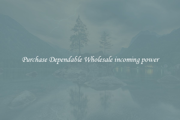 Purchase Dependable Wholesale incoming power
