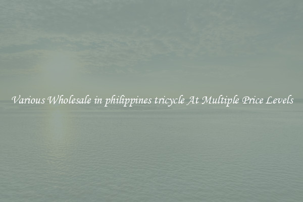 Various Wholesale in philippines tricycle At Multiple Price Levels