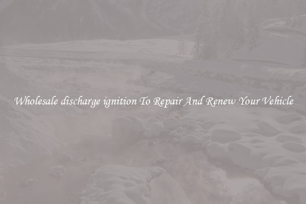 Wholesale discharge ignition To Repair And Renew Your Vehicle