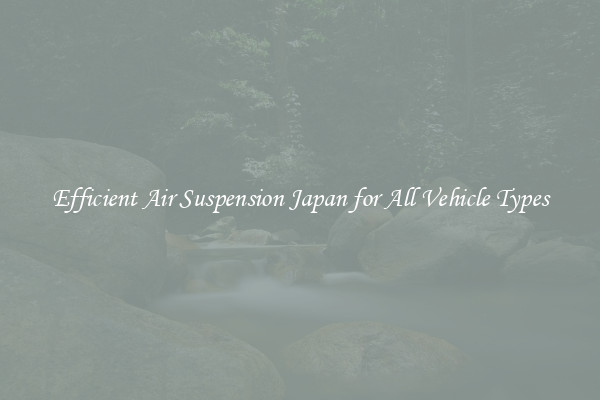 Efficient Air Suspension Japan for All Vehicle Types