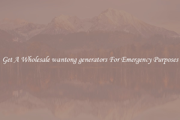Get A Wholesale wantong generators For Emergency Purposes