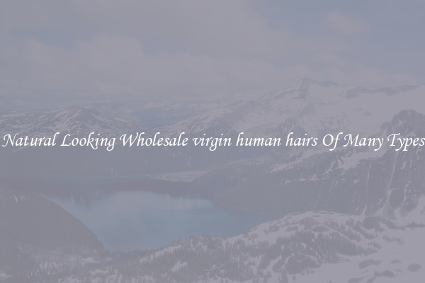 Natural Looking Wholesale virgin human hairs Of Many Types